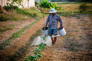 how-to-employ-and-payroll-people-in-Vietnam-6.jpeg